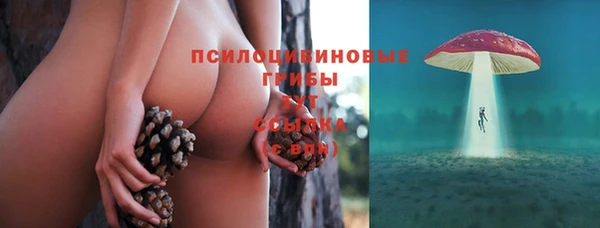 прущие грибы Алексеевка