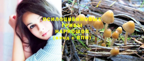 прущие грибы Алексеевка