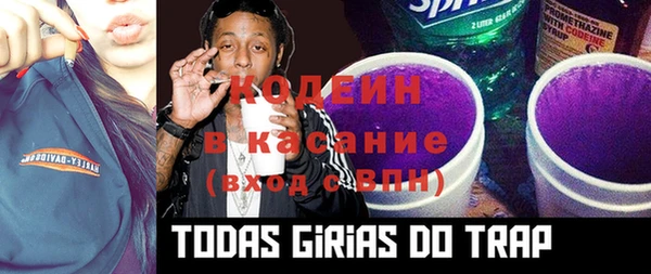 прущие грибы Алексеевка
