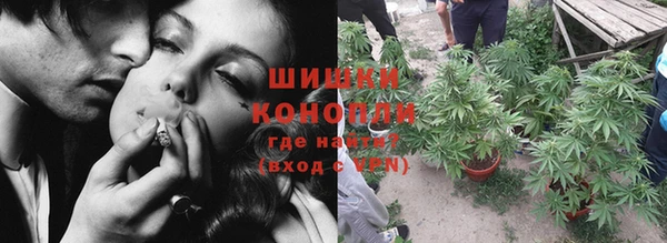 прущие грибы Алексеевка