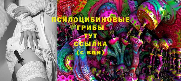 стафф Алзамай