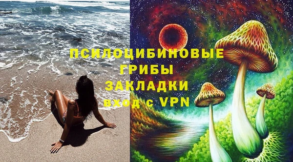стафф Алзамай