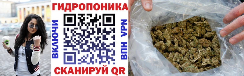hydra   Шуя  Канабис планчик 